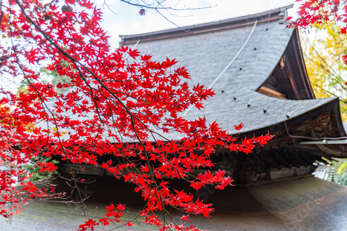 定光寺紅葉 photo