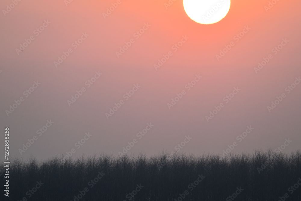 Fototapeta premium sunrise in the mountains