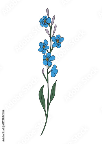 Forget me not flower tender colorful vector illustration. Myosotis outline colored drawing isolated on transparent background. Modern minimalist design for tattoo, jewelry, logo, packaging, wall art.
