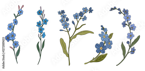 Set of Forget me not flower colorful vector illustrations. Myosotis outline colored drawing isolated on white background. Modern minimalist design for tattoo, jewelry, logo, packaging.