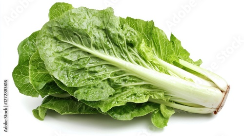 A head of romaine lettuce with crisp, green leaves, isolated on a white background for a fresh winter vegetable vibe