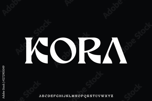 Unique elegant decorative serif retro style alphabet display font vector
