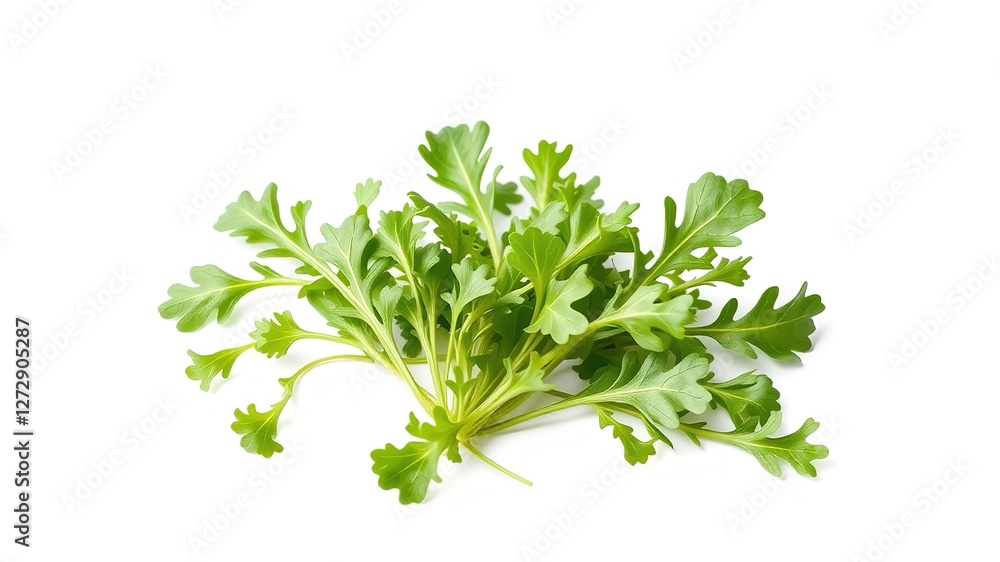 Fresh Arugula Leaves - Close-Up, Studio Shot Fresh Arugula Leaves - Close-Up, Studio Shot