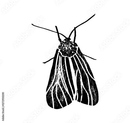 Clothes moth, mol, mole. Moth vector illustration