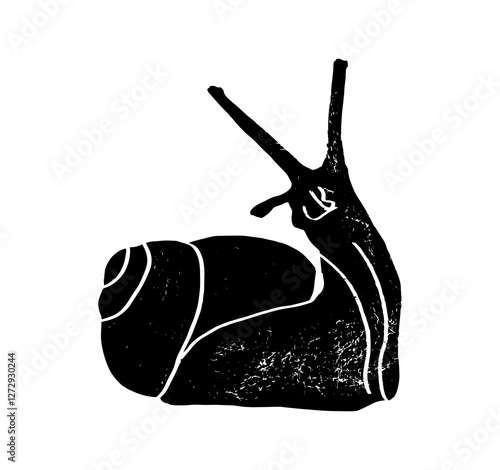 Cochlea, helix, snail. Vector line illustration snail gastropod mollusk