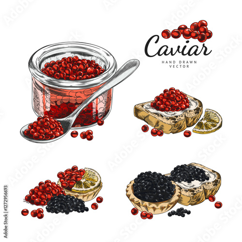 Set of contour watercolor illustrations of black and red caviar in jars, sandwiches and tartlets.