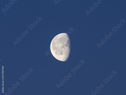 Morning moon on a cold day in February