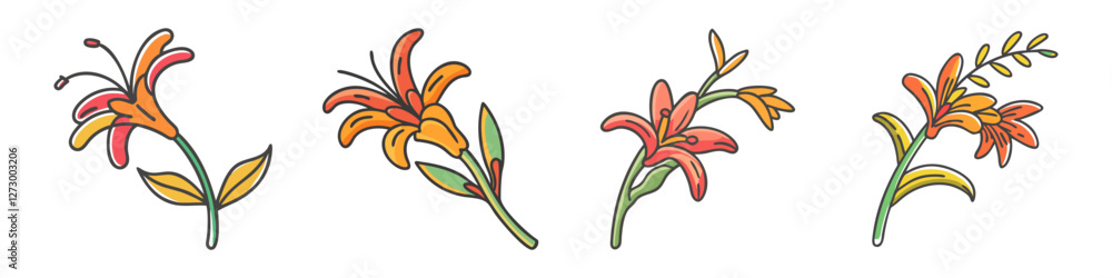 Fototapeta premium Colorful crocosmia flower Illustration Set - A set of hand-drawn crocosmia flowers with vibrant orange petals and delicate green stems, showcasing their natural beauty.