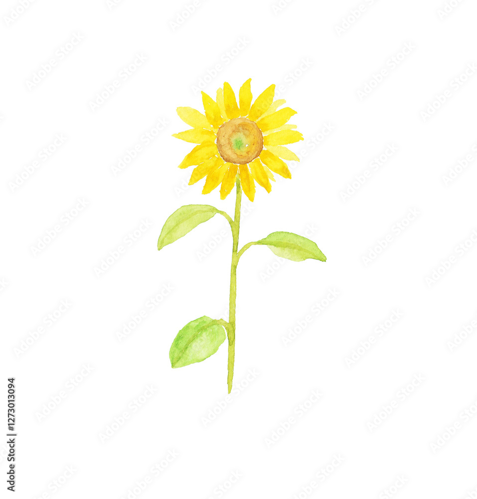 Fototapeta premium 水彩絵の具で描いた一本のひまわり
