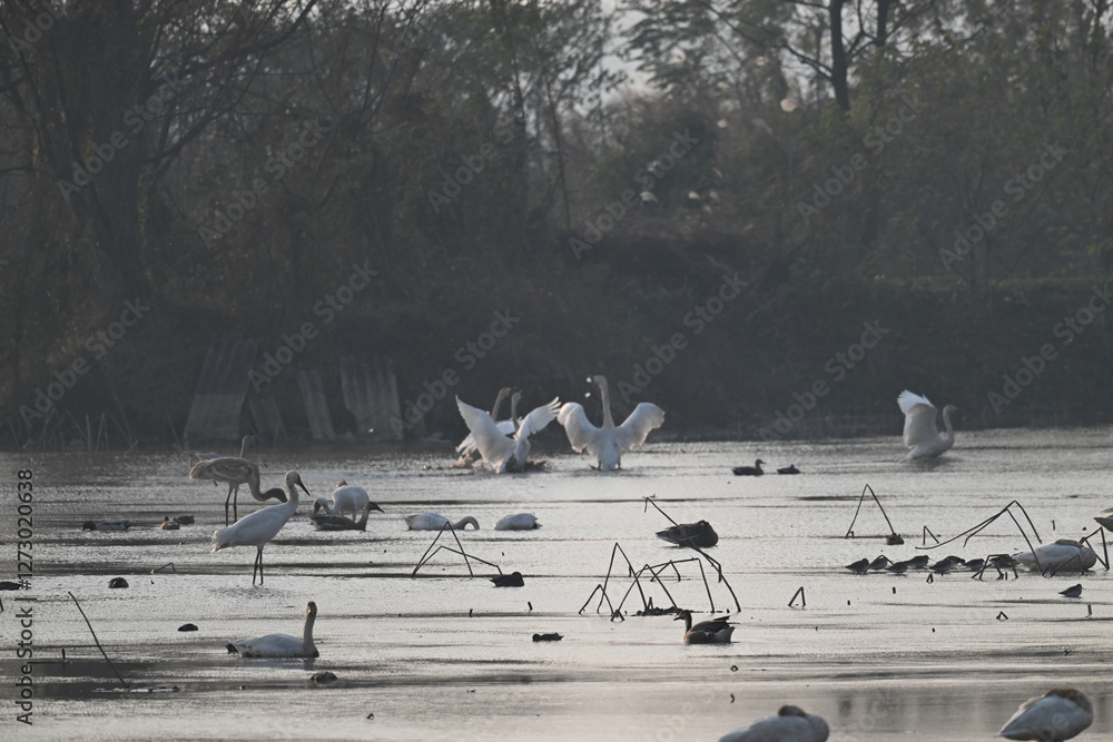 Obraz premium seagulls on the beach