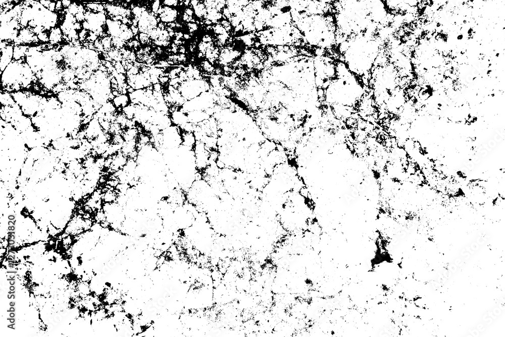 Fototapeta premium Abstract grunge black and white distressed texture background