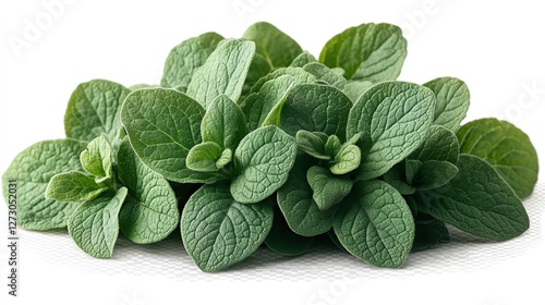 silver spurflower leaves isolated on transparent background plectranthus argentatus png photo