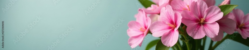 Pink periwinkle flowers in a vase with greenery, arrangement, blooms Pink periwinkle flowers in a vase with greenery, arrangement, blooms