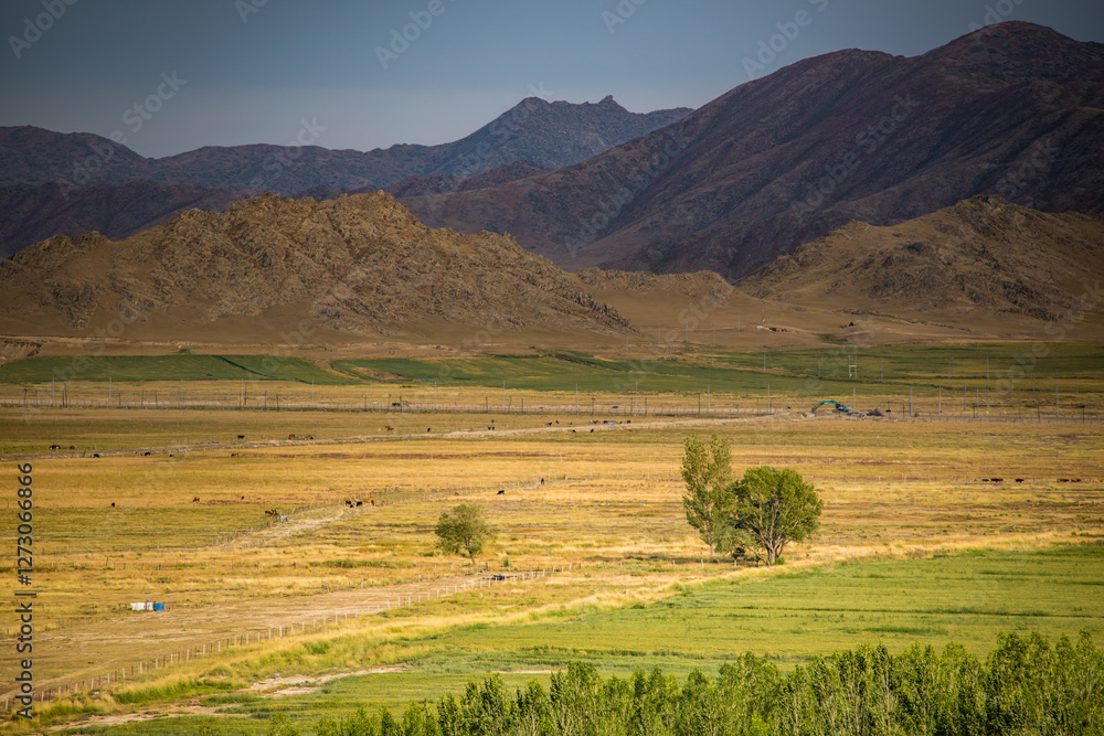 Fototapeta premium Kekesuli Scenic Area, Altay Region, Xinjiang, China