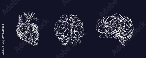 Tangled brain, human heart. Vector scribble sketch