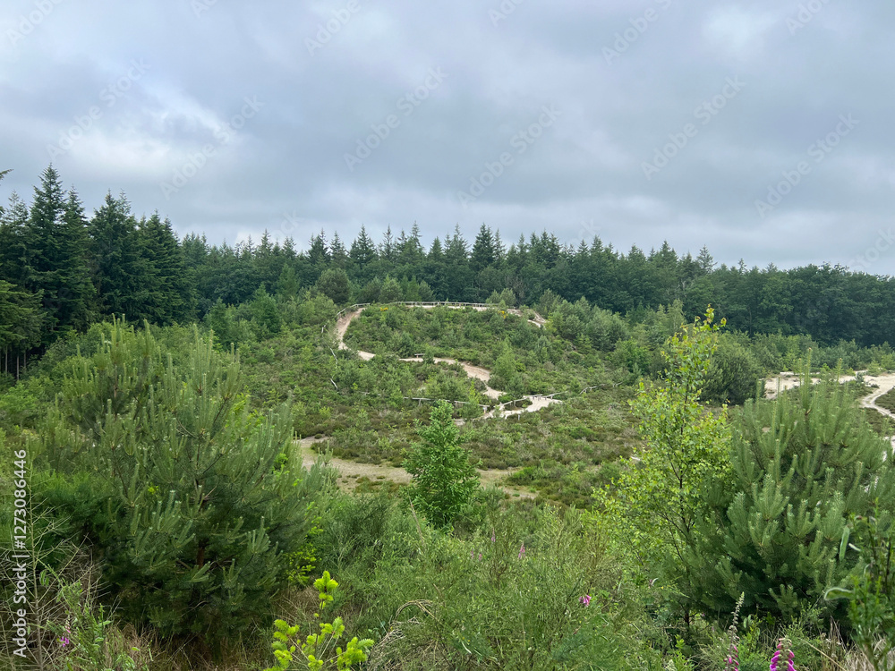 MTB track at Gasselte - Gieten in Drenthe