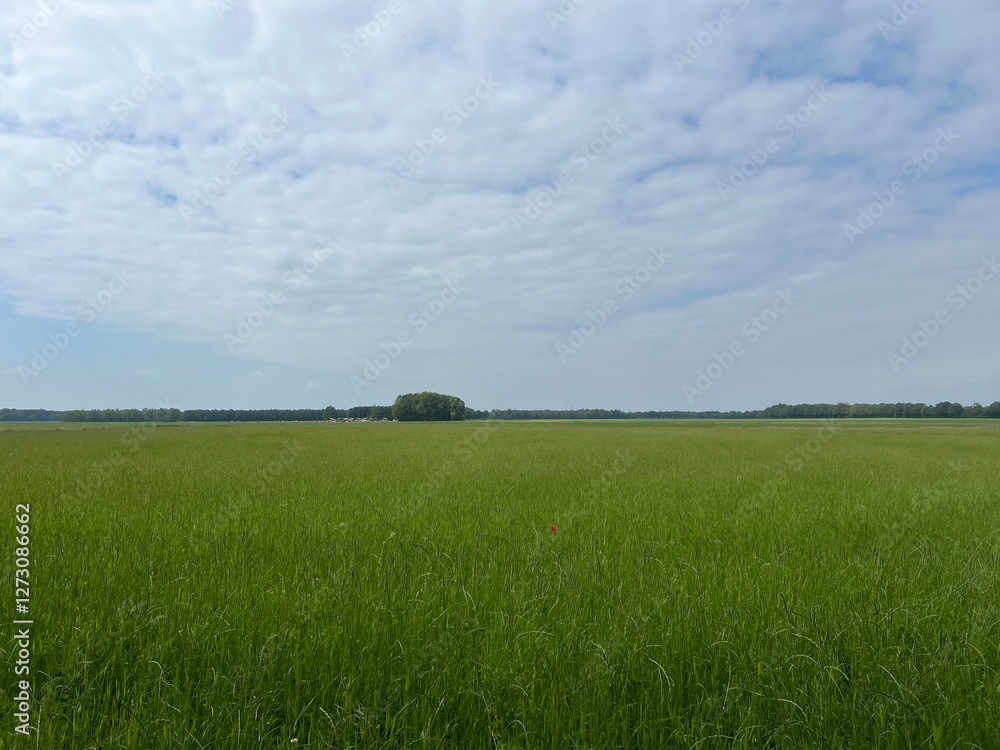 Fototapeta premium Scenery around the MTB track Sleen