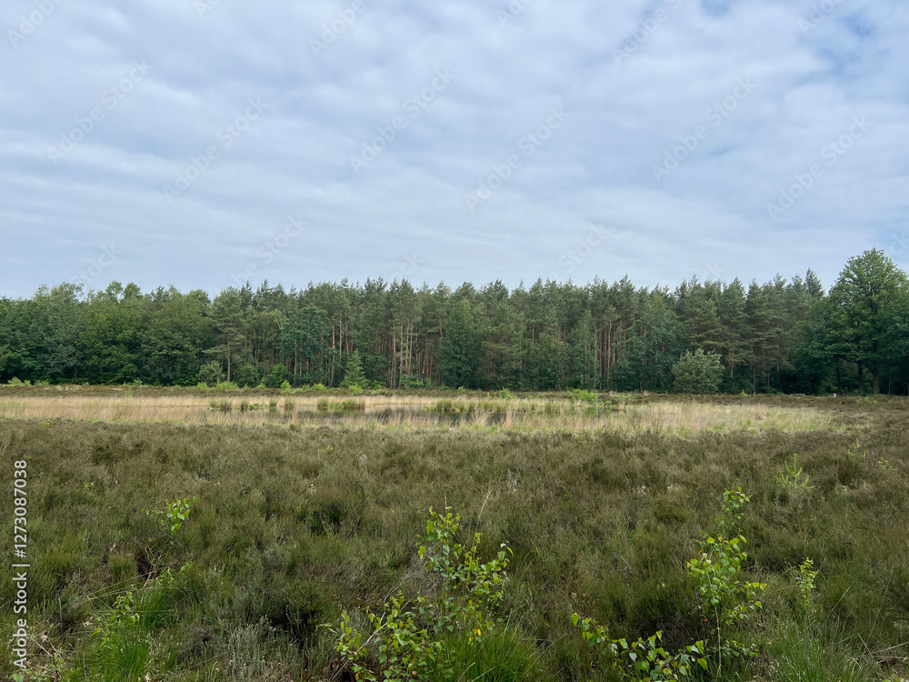 Scenery around the MTB track Sleen