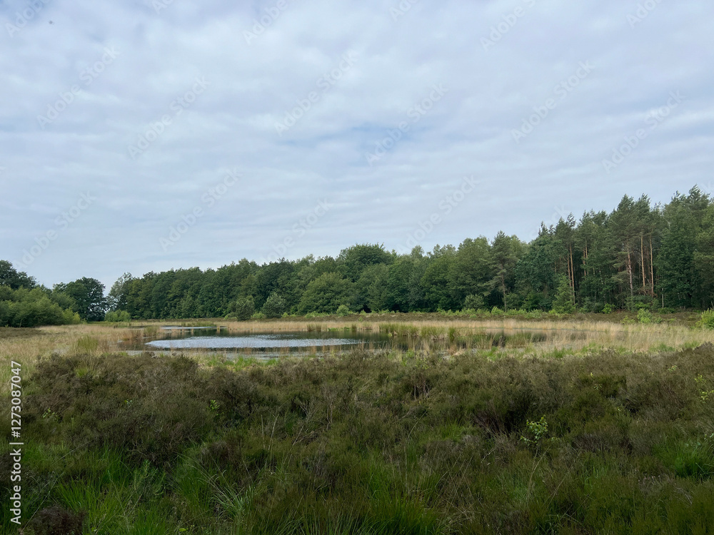 Scenery around the MTB track Sleen