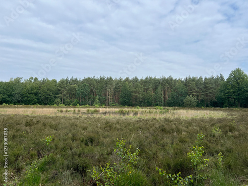 Scenery around the MTB track Sleen photo