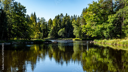 Salmon river landscape in summer. Farnebofjarden national park in north of Sweden