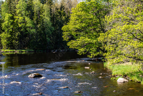 Salmon river landscape in summer. Farnebofjarden national park in north of Sweden photo