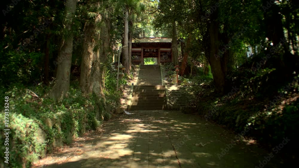 Ancient Steps to Tranquil Temple – Stone steps lead up to a hidden temple in a quiet Japanese forest, surrounded by tall trees and greenery Ancient Steps to Tranquil Temple – Stone steps lead up to a hidden temple in a quiet Japanese forest, surrounded by tall trees and greenery