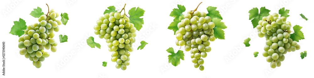 Green grape clusters and leaves flying mid-air, isolate on white background. Mix collection cutout png. Green grape clusters and leaves flying mid-air, isolate on white background. Mix collection cutout png.