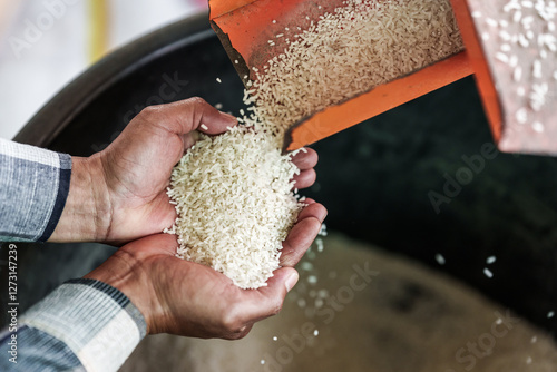 A farmer shows rice being milled using a rice mill on his hand.