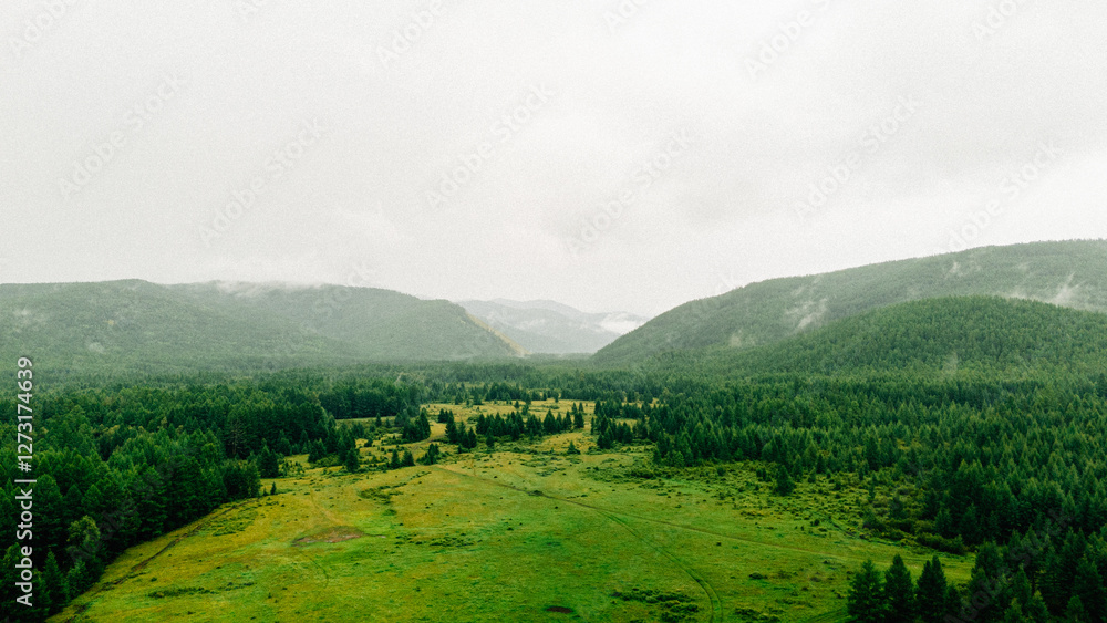 Fototapeta premium mountain landscape with fog