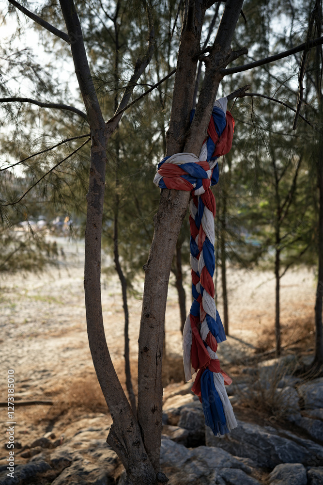 Sacred cloth tied to a tree in Thailand