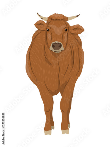 Red cow. Farm realistic vector animal