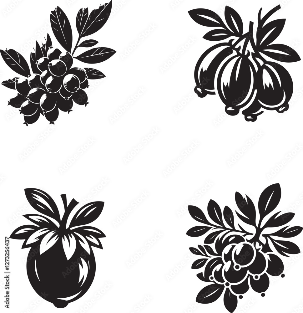 Obraz premium Barberry Silhouette Collection - Vector Illustrations of Barberry Berries and Leaves
