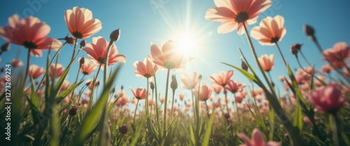 Surreal perspective of blooming pink flowers under a radiant sun in a vast meadow