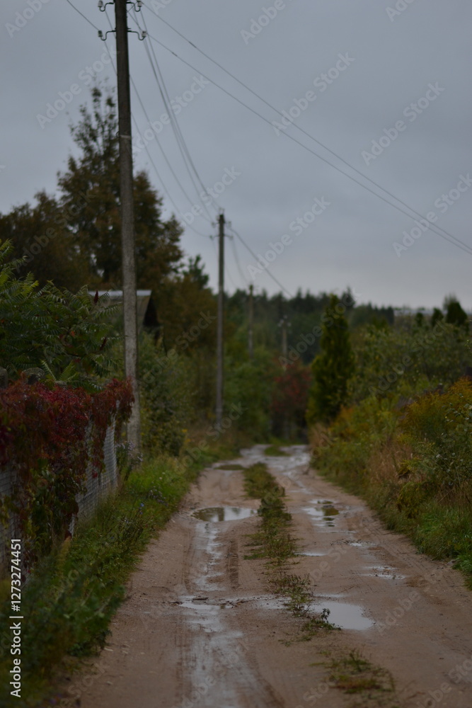 Village streets wet from the rain, under a gray sky Village streets wet from the rain, under a gray sky