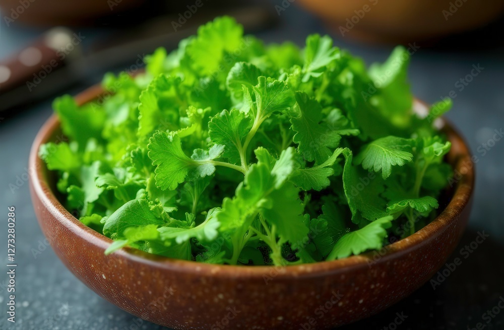 fresh green salad fresh green salad