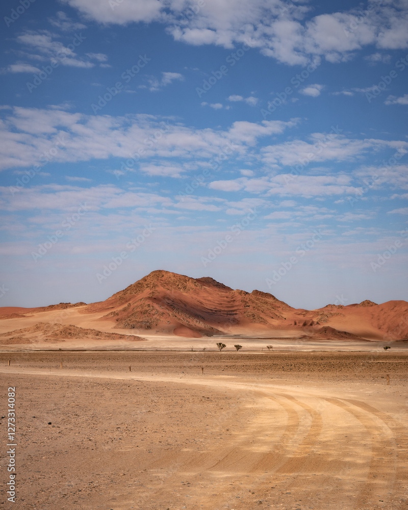 Fototapeta premium road to the desert (portrait format)