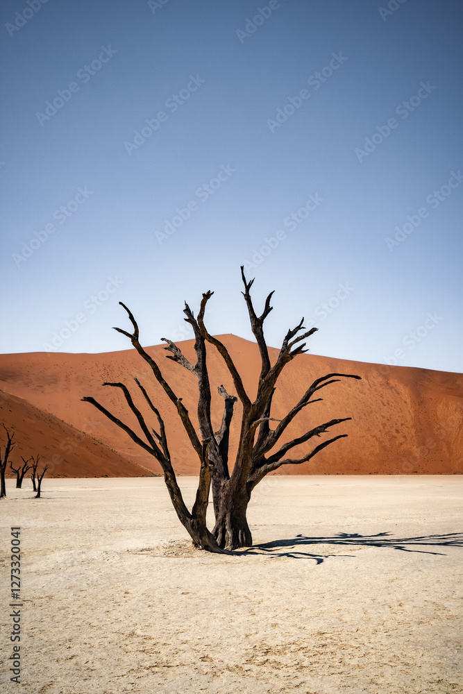 dead tree in Deathvlei (portrait format)