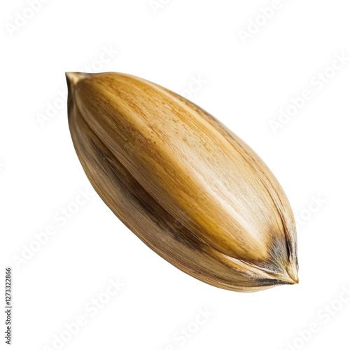 Wallpaper Mural Close-up View of Natural Brown Seed Shell Isolated on White Background Torontodigital.ca