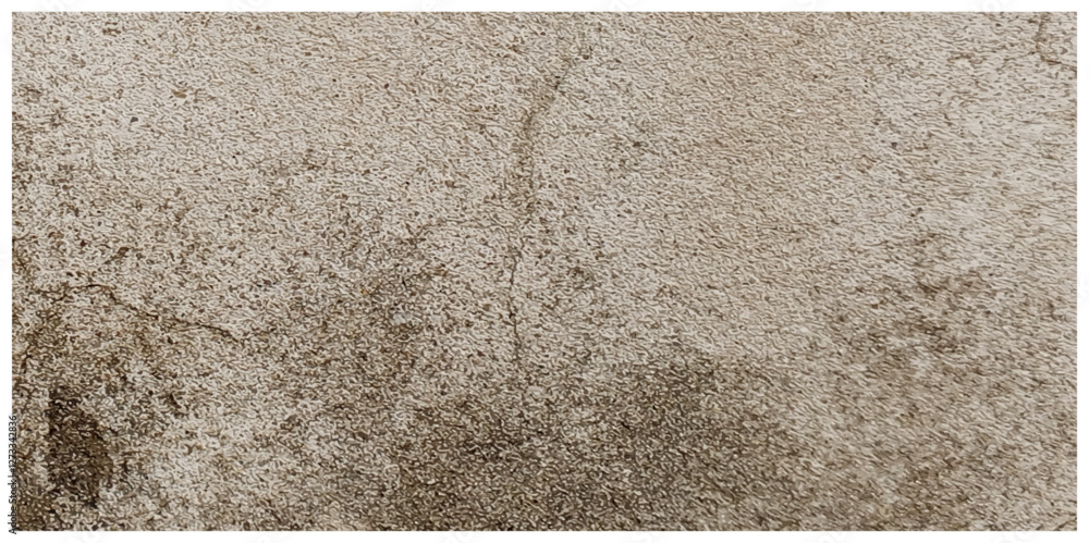 Fototapeta premium Abstract dust grunge particle and dust grain texture concrete wall grunge on white background Vector.