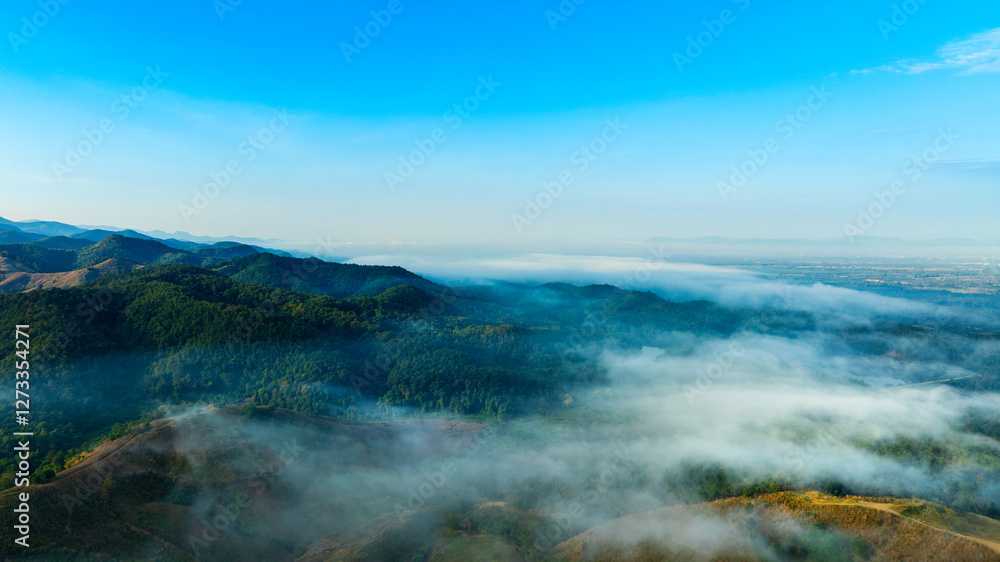 Aerial view of mountains and mixed forest. Green deciduous trees with mist clouds. The rich natural ecosystem of the rainforest concept is about conservation and natural reforestation. Aerial view of mountains and mixed forest. Green deciduous trees with mist clouds. The rich natural ecosystem of the rainforest concept is about conservation and natural reforestation.