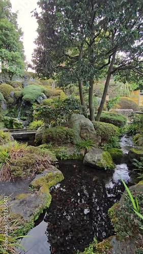 Japanese garden, waterfall gardening