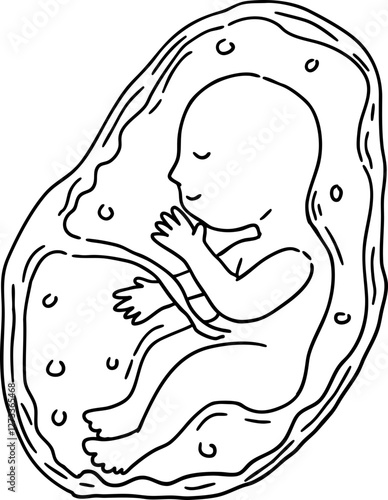 sketch baby in womb
