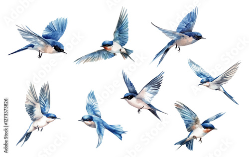 Set of watercolor swallows png.Swallows flying in the air with blue and white feathers and tail.Swallow or Martin passerine bird with long tail and pointed wings flying and gliding vector set.