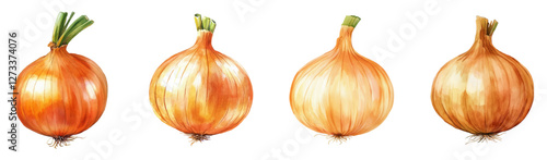 Watercolor set of golden onions. Yellow onions with root and green sprout. Watercolor vegetables. Ingredients for cooking. Vector illustration.