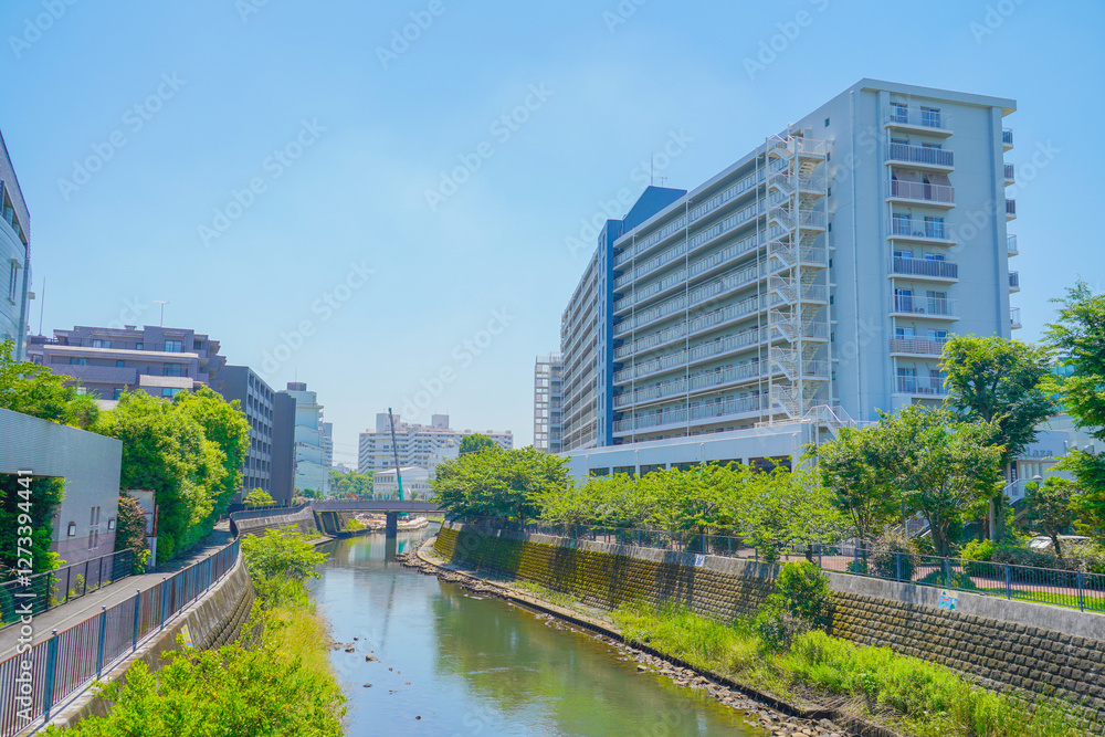 Obraz premium 川と橋と都市風景