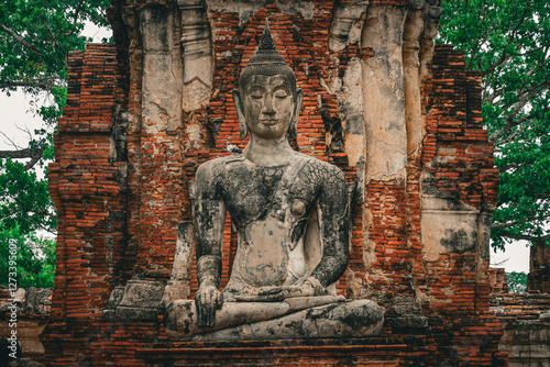 Obraz na płótnie アユタヤの遺跡(タイ王国) w salonie