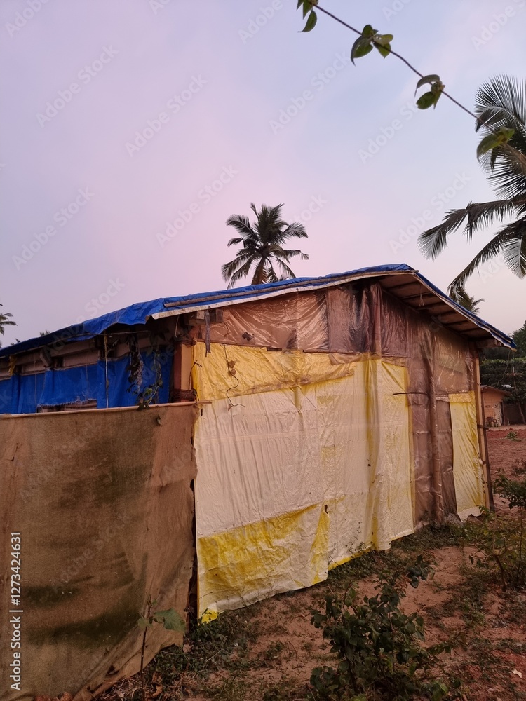 Improvised shelter, a hut near a palm tree. India, Goa, Arambol. High quality photo