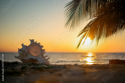 海とプルメリアの花