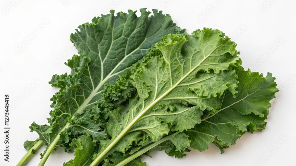 Kale Leaves on White Background Kale Leaves on White Background